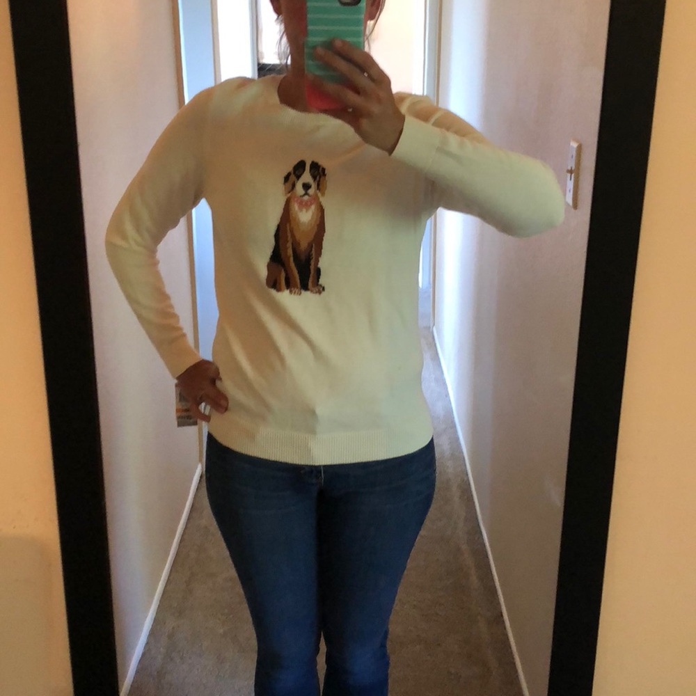 Cute Dog Puppy Sweater